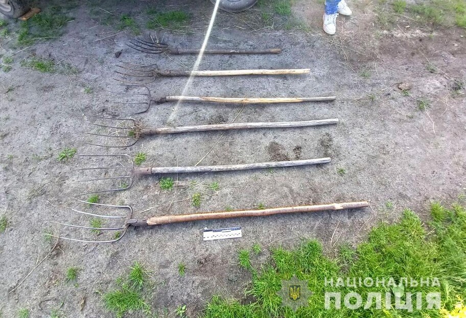 Житель Ровенской области проткнул полицейского вилами из-за штрафа в размере 51 гривны – фото  - фото 1