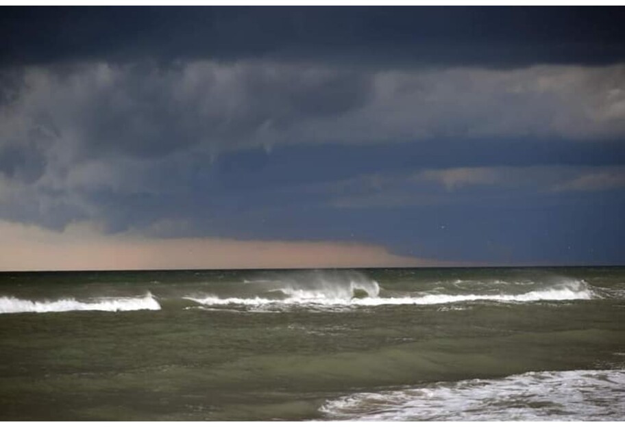 Чорне море в Одесі стало зеленим - в воді знайшли токсичні бактерії - відео - фото 1