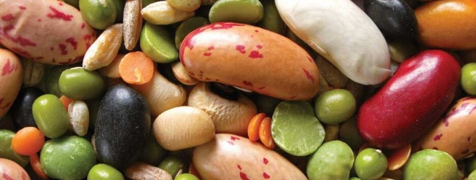 Не вся квасоля однакова корисна: лікар пояснила різницю між видами