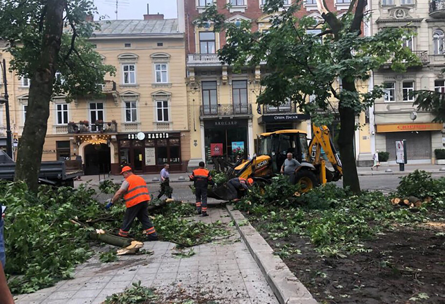 Ураган во Львове повредил коммуникации и исторические здания - фото - фото 1