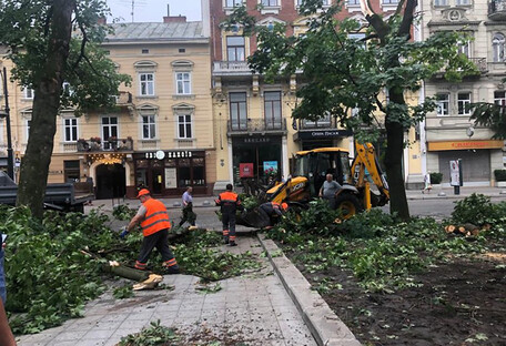 Во Львове объявили чрезвычайную ситуацию: ликвидируют последствия масштабного урагана (фото)