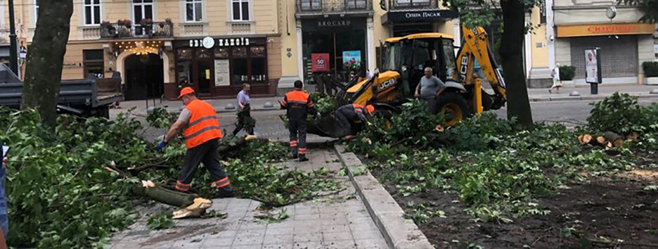  У Львові оголосили надзвичайну ситуацію: ліквідують наслідки масштабного буревію