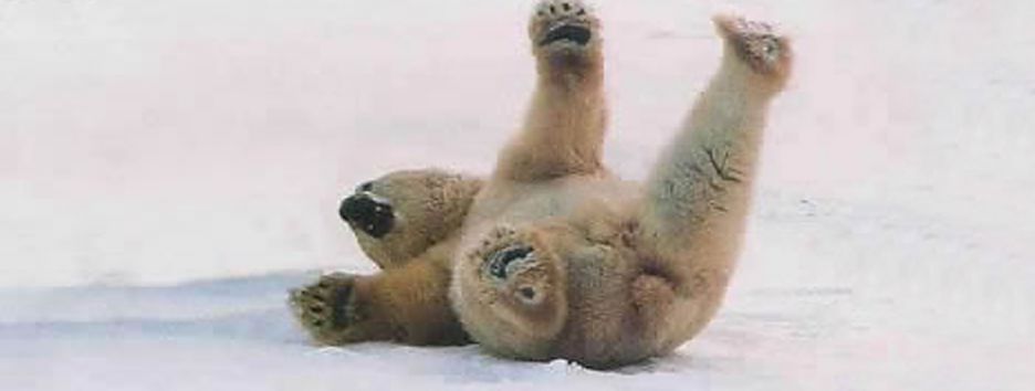 Почему лед скользкий: проделки хитрых молекул