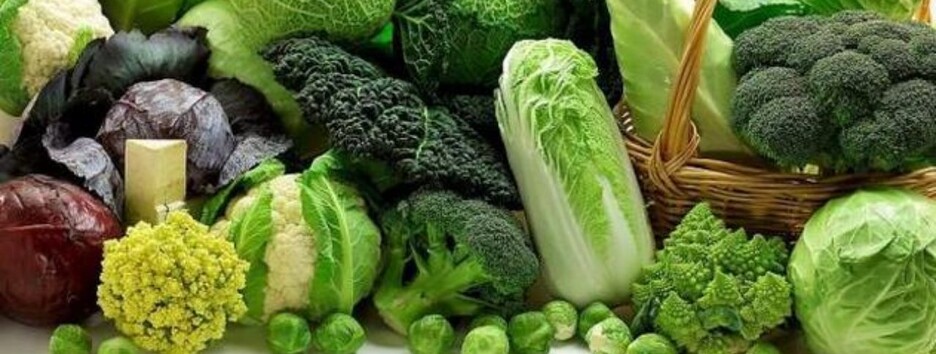 Користь гірких продуктів: що обов'язково потрібно мати у раціоні