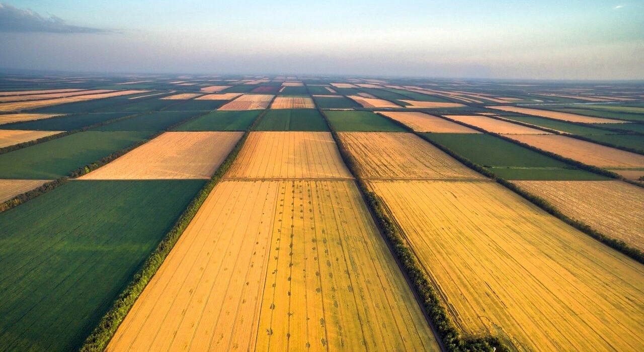 Украинцы с 1 июля могут продавать землю: как оформить право собственности фото
