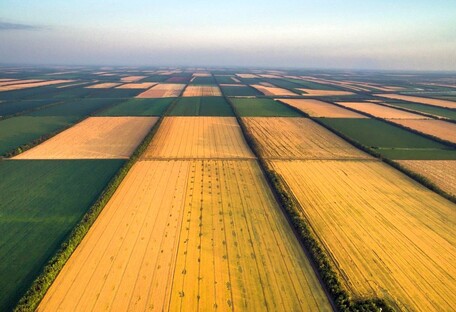 Украинцы с 1 июля могут продавать землю: как оформить право собственности