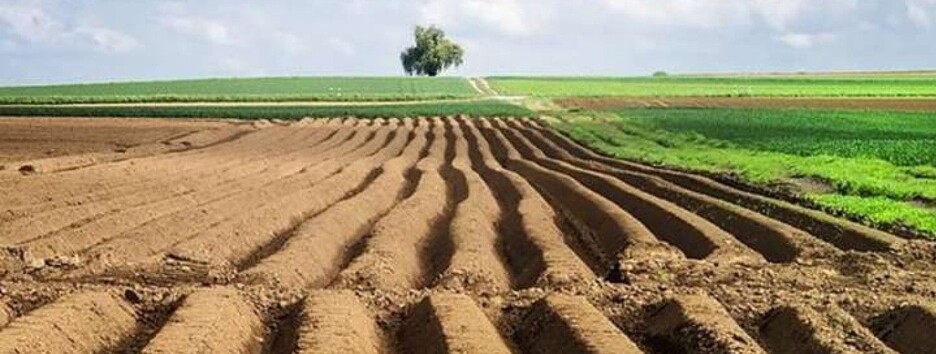 Может ли юрлицо купить землю в Украине: в законодательстве нашли лазейку