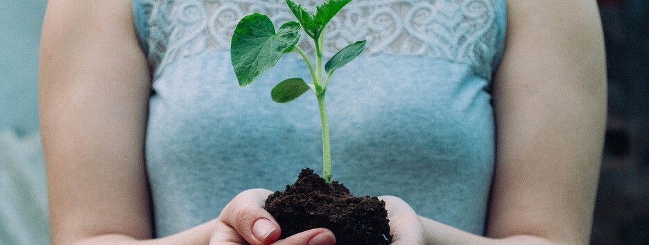 Господині на замітку: що і коли рекомендується саджати у липні