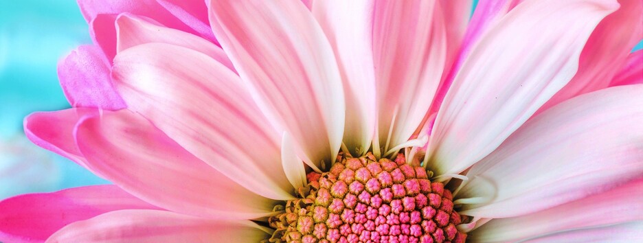 До +14 у Львові: синоптики уточнили, в яких регіонах спаде спека на вихідних