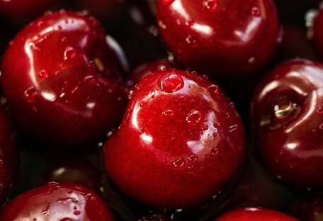 Уменьшает отеки и боли в суставах: диетолог назвала удивительные свойства вишни