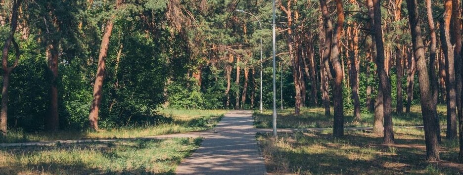 Пішла у ліс і не повернулася: у Києві знайшли мертвою 18-річну дівчину