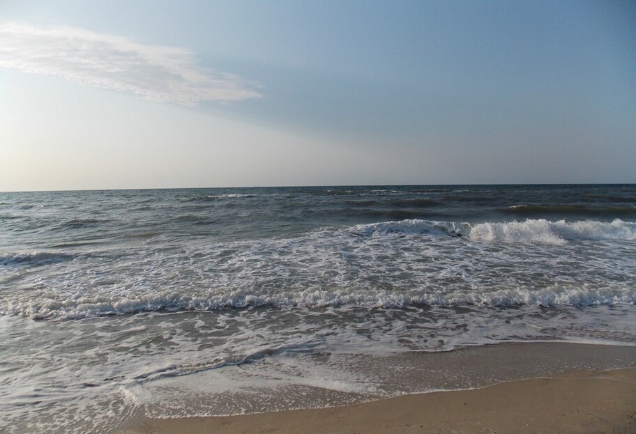 Отдых в Затоке - вода на пляже не соответствует санитарным нормам - фото 1