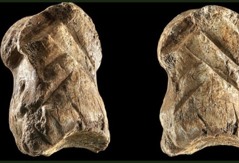 Резная кость оленя - археологи нашли статуэтку неандертальцев - фото - фото 1