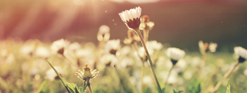 Тридцять градусів - далеко не межа: синоптики попередили про нову хвилю спеки