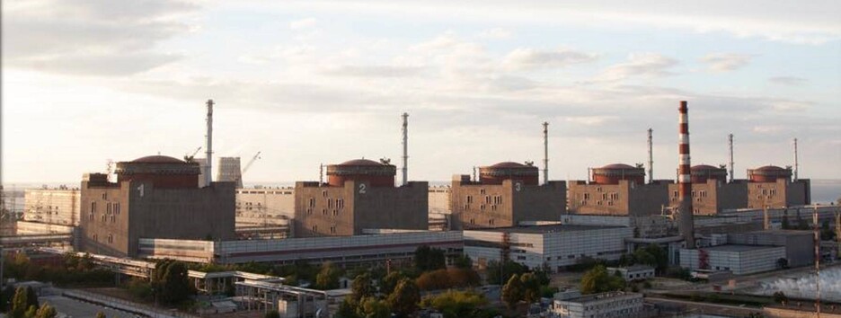 Курьез на стратегическом объекте: дикие поросята 