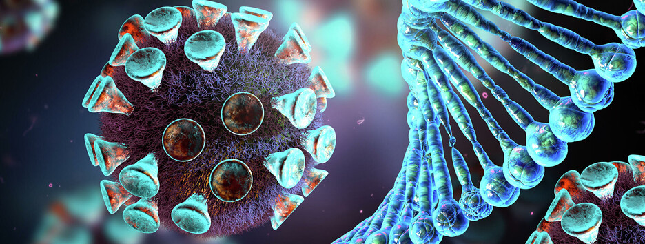 У Бельгії жінка заразилась одразу двома штамами коронавірусу і не вижила