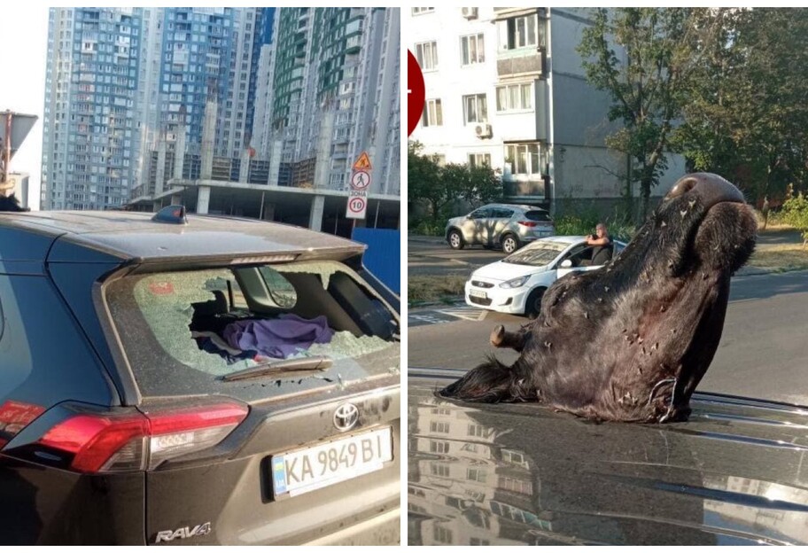 Оставили голову коровы и разбили стекла - в Киеве повредили авто на парковке - фото - фото 1