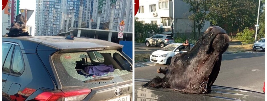 В Киеве разбили припаркованное авто, оставив хозяину 
