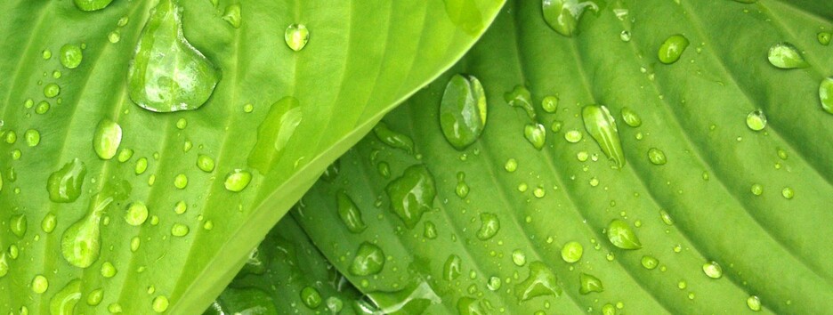 В Украину идет долгожданное похолодание: +21 во Львове и +23 в Киеве