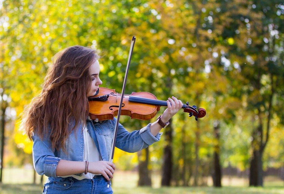 Как выбрать скрипку для юного начинающего - фото 1