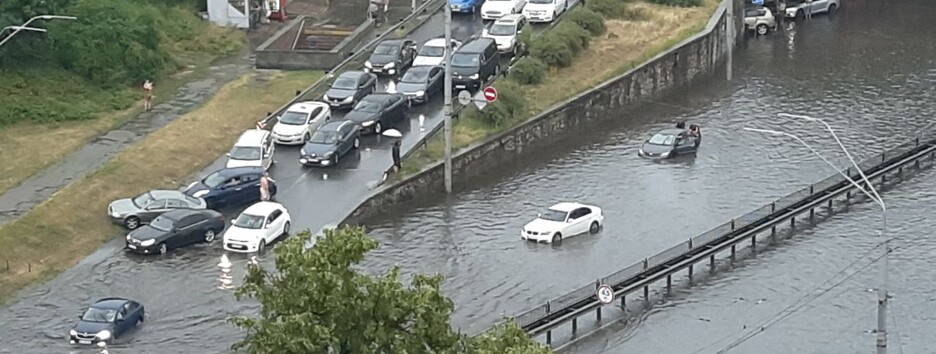 У Києві зняли на відео героя, який промок до нитки, але врятував собаку