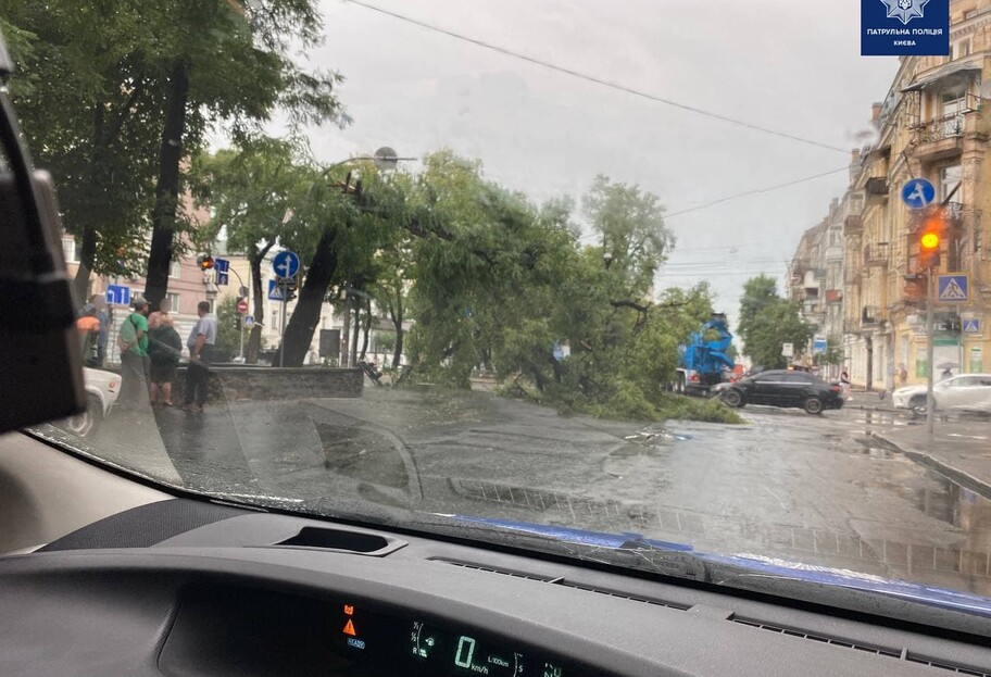 Ливень в Киеве разрушил дороги, ураган валил деревья - фото - фото 1