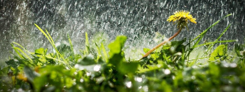 Спека відступає: коли похолодання дістанеться до півдня і сходу України