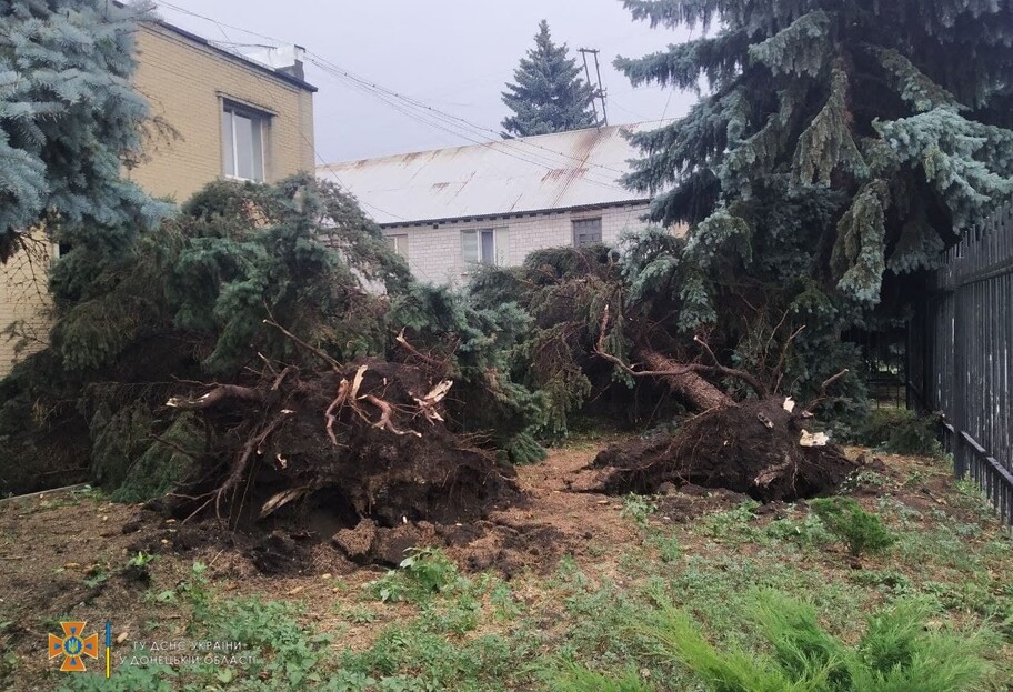 Погода в Украине - из-за бури погибли два человека - фото - фото 1