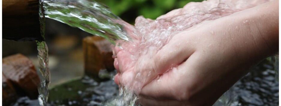 У Києві воду з джерел перевірили на кишкову паличку: результати дослідження