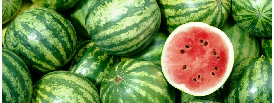Сезон кавунів: як вибрати найкращий, а кому їх їсти не рекомендують