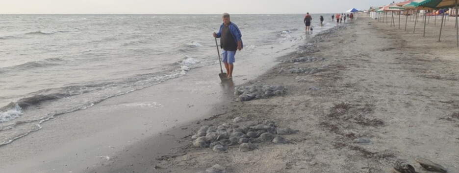 За допомогою лопат і трактора: як у Херсонській області борються з медузами (фото)
