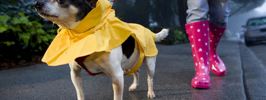 Погода в Україні зіпсується: на захід і північ йде новий грозовий фронт