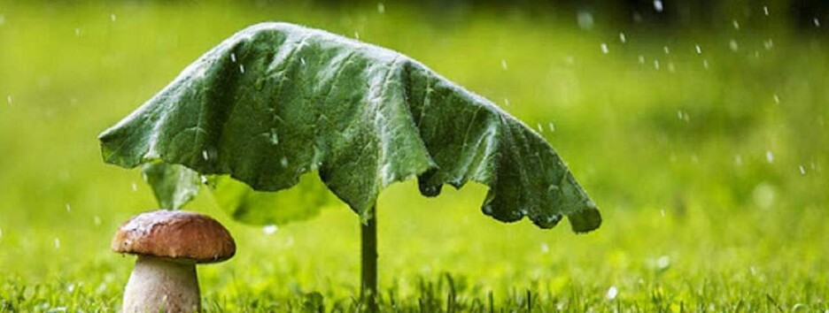 Серпень почнеться з перепадів температур: +21 у Львові +30 в Одесі