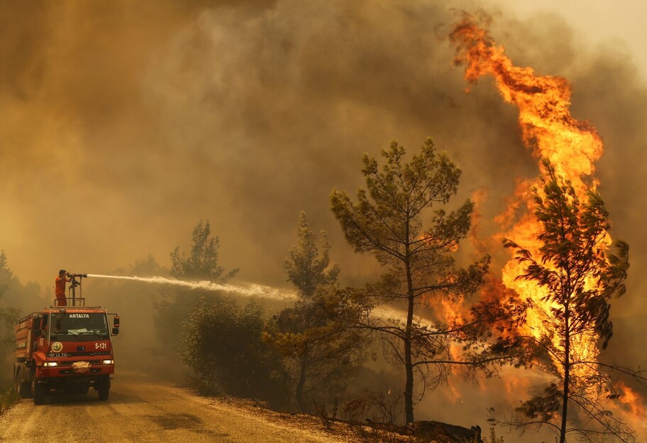 Пожары в Турции - что горит сейчас и что происходит на курортах - фото, видео - фото 1