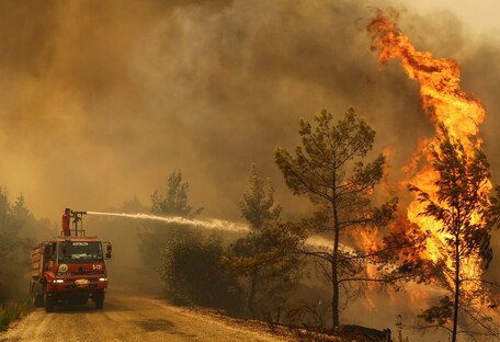 Пожары в Турции: несколько провинций объявили зонами бедствия (видео)