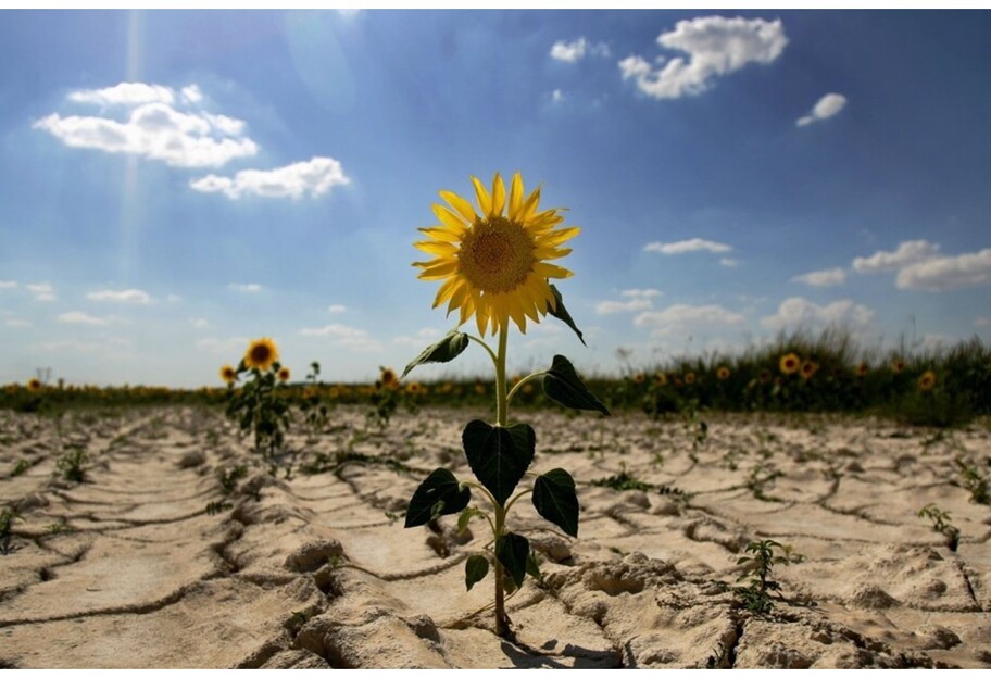 Клімат України змінюється - якою буде погода через 50 років - фото 1