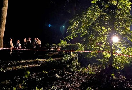 Смертельный ураган: во Львове в парке погибли два человека (фото)