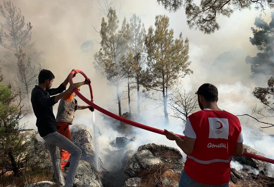 Пожары в Турции - огонь превратил леса в пепел - фото до и после - фото 1
