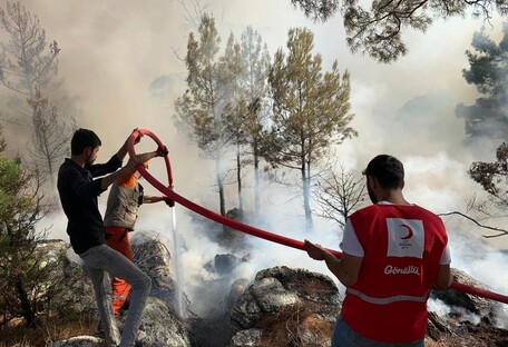 Пожежі у Туреччині знищують ліси: фото до і після з висоти пташиного польоту