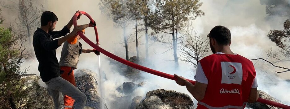 Пожары в Турции уничтожают леса: фото до и после с высоты птичьего полета