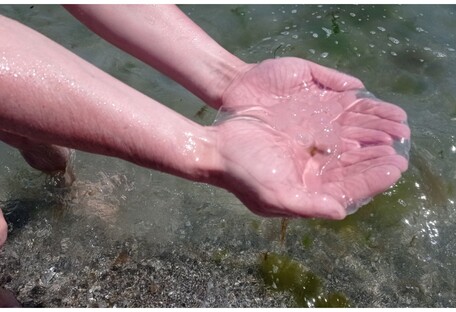 Медузи знову наступають: зайти в Азовське море і не торкнутися нереально (фото, відео)