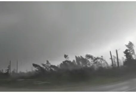 Потужний ураган у Білорусі виривав дерева з корінням: очевидець зняв це на відео