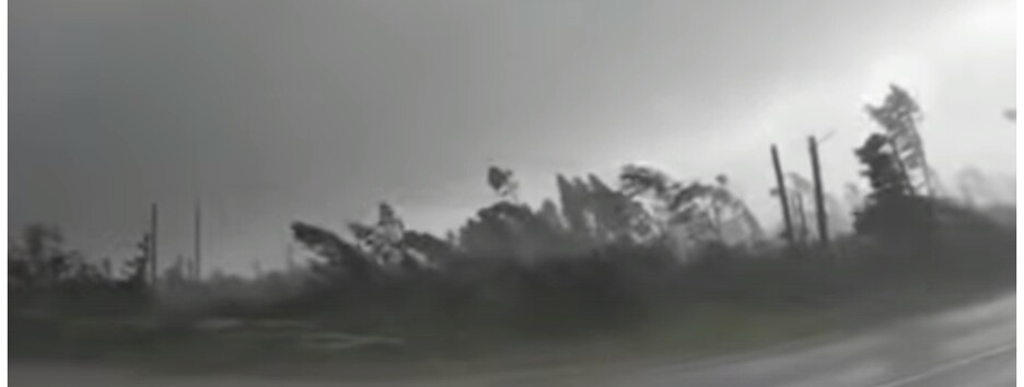 Мощный ураган в Беларуси вырывал деревья с корнем: очевидец снял это на видео