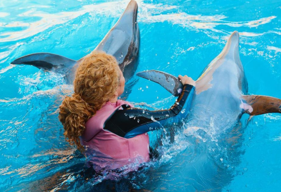 Аліна Гросу розважалася з дельфінами, фоловери її розкритикували - фото - фото 1