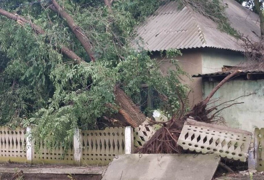 Ураган в Одесской области – последствия сильного ветра – фото - фото 1