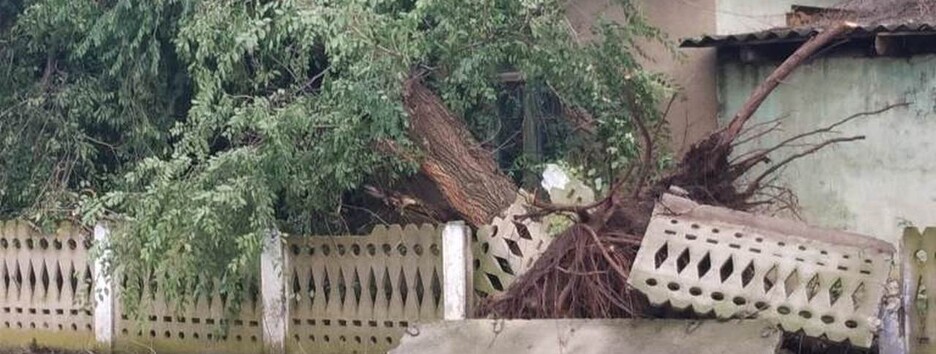 В Одеській області ураган валив дерева і зривав дахи (фото)