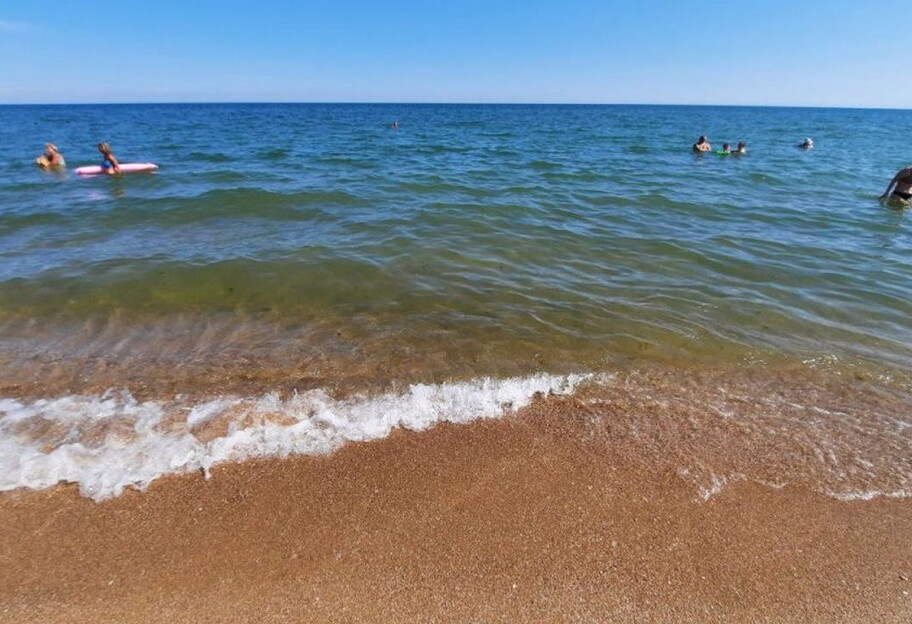Медузы в Азовском море – в Приморске вода очистилась – фото  - фото 1