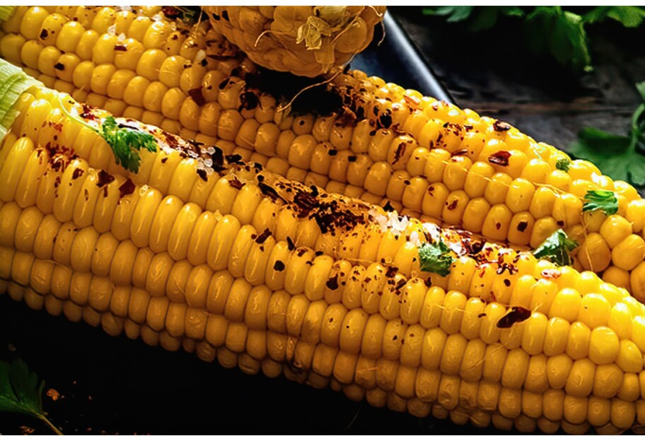 Польза и вред кукурузы - врач поделилась о свойствах злака - фото 1
