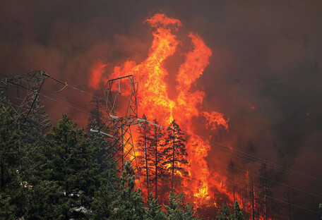 Лесной пожар в США признан крупнейшим в истории: тушат уже месяц (фото)