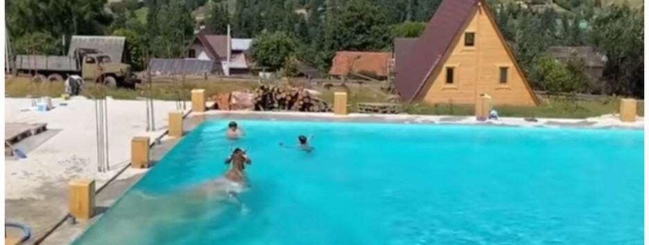 Курьез на курорте в Карпатах: в бассейн с детьми прыгнула корова (видео)